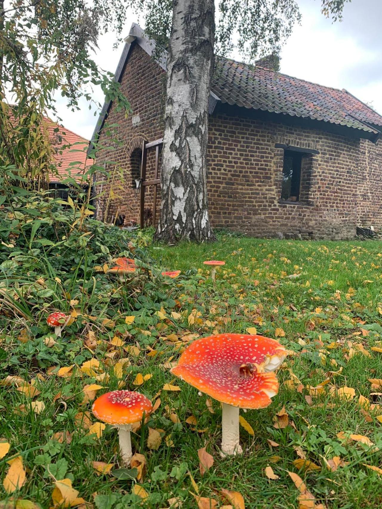 B&B En Vakantiewoningen 'T Wienhoes Wittem Exterior photo